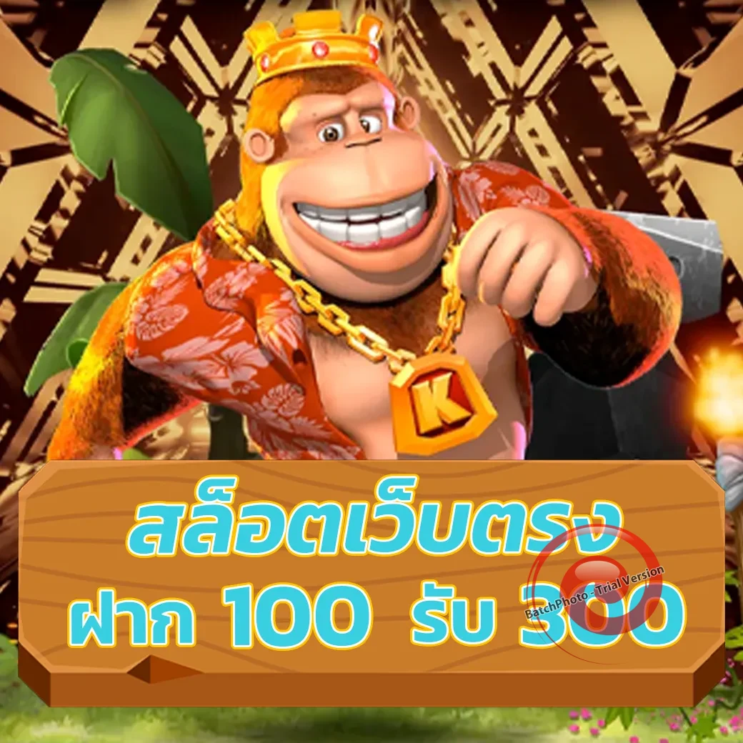 scatter77 ทางเข้า